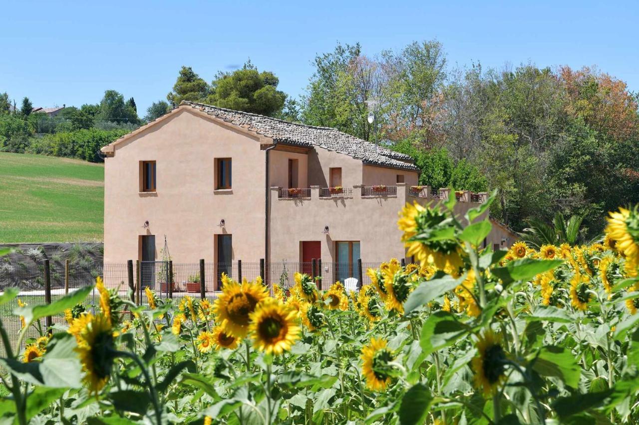 Casa Montefiore 13 Iris Lt Nella Tranquilla Campagna Marchigiana Ancona Ngoại thất bức ảnh